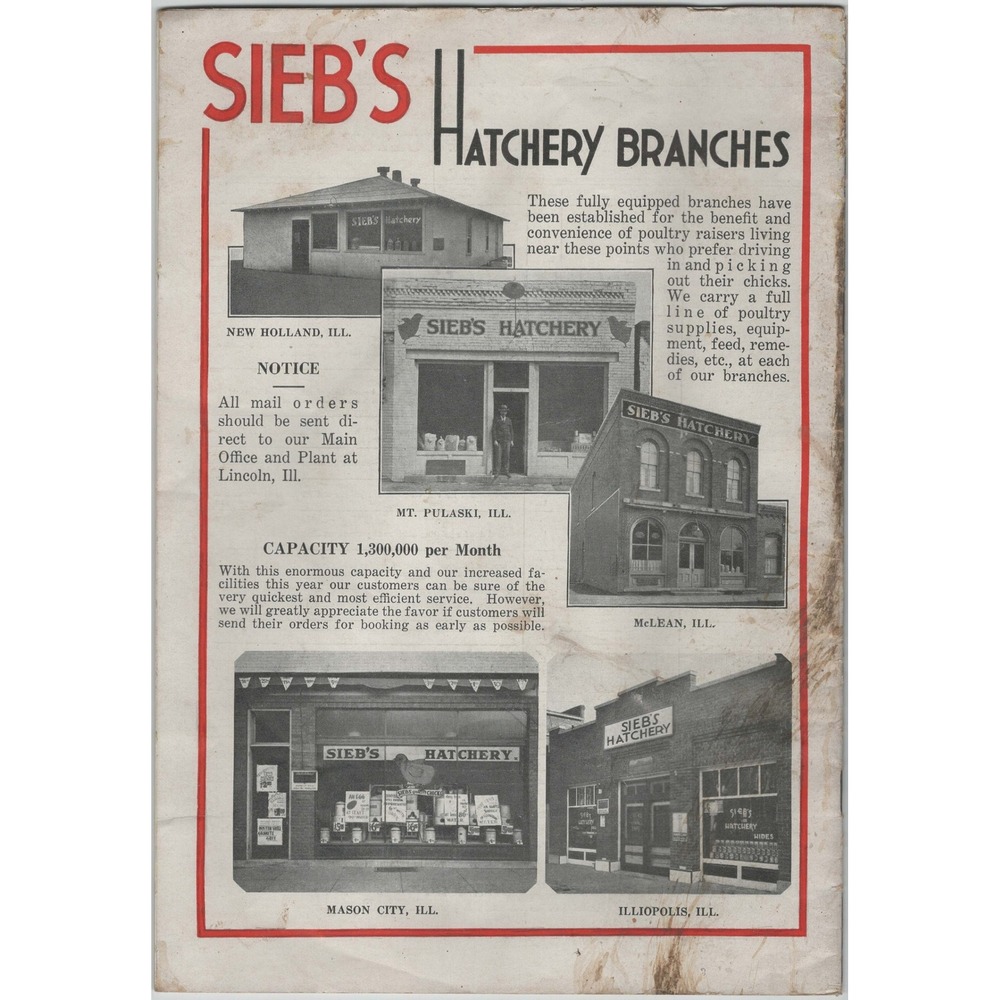 Vintage Sieb's Hatchery Lincoln Illinois Poultry Foundation Chicks Catalog - Picture 2 of 2